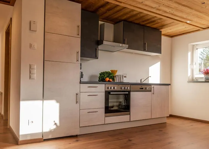 Schlicki's Appartamento Flachau