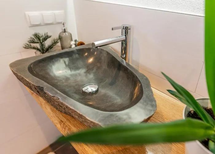 Schlicki's Appartamento Flachau